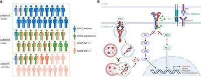 HER2-Altered Non-Small Cell Lung Cancer: Biology, Clinicopathologic Features, and Emerging Therapies